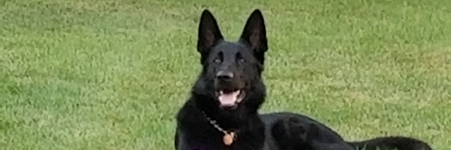 gregbwilliams83's profile banner image