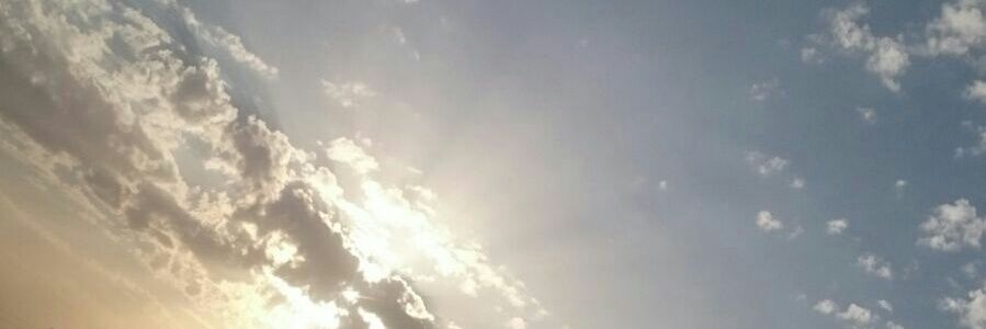 المتفائل banner