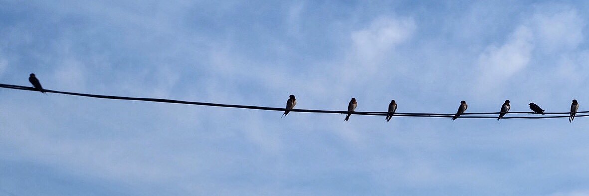 iTuckkae's profile banner image