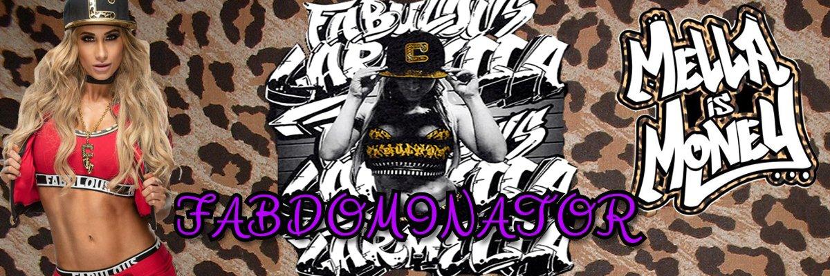 Fabulously Untouchable (fake) banner