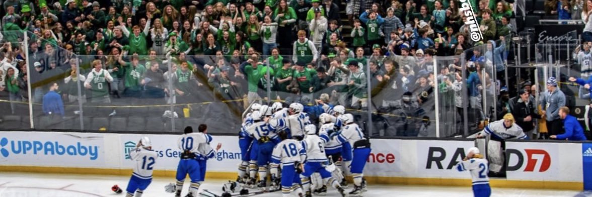Norwell Hockey banner