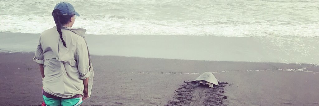BrittBassss's profile banner image