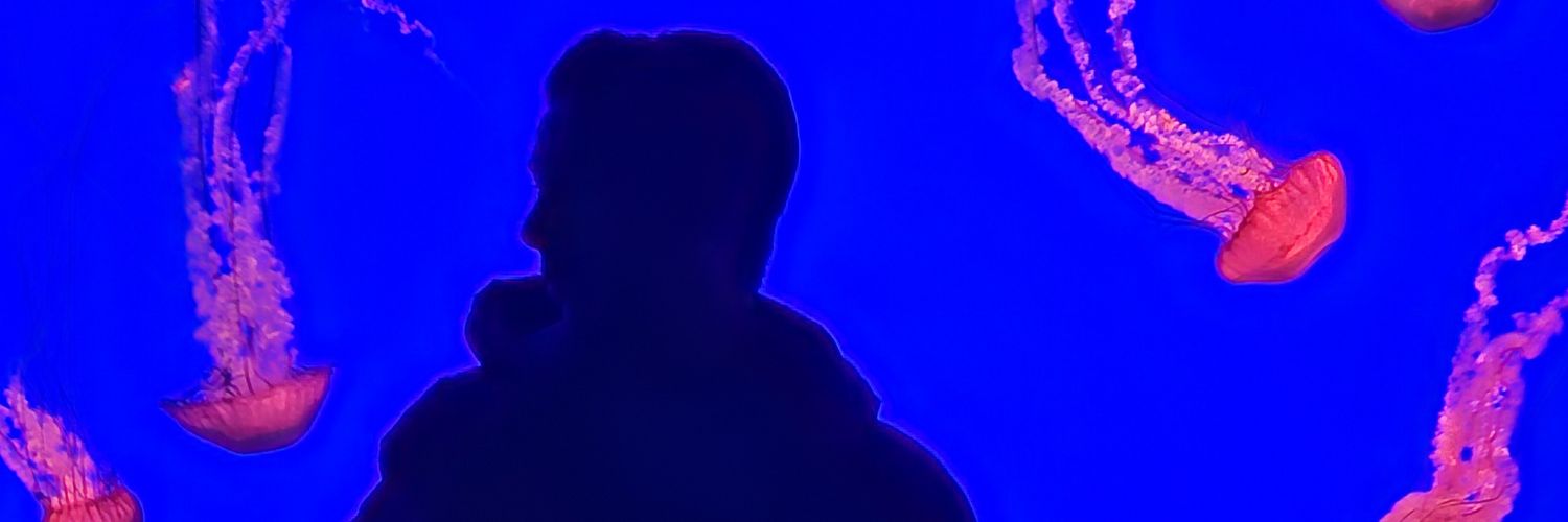 Fl⭕w 7️⃣🎱7️⃣ banner