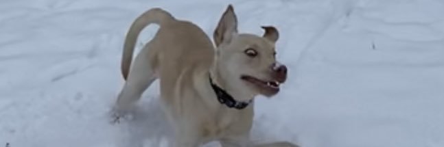 takin_knapps's profile banner image