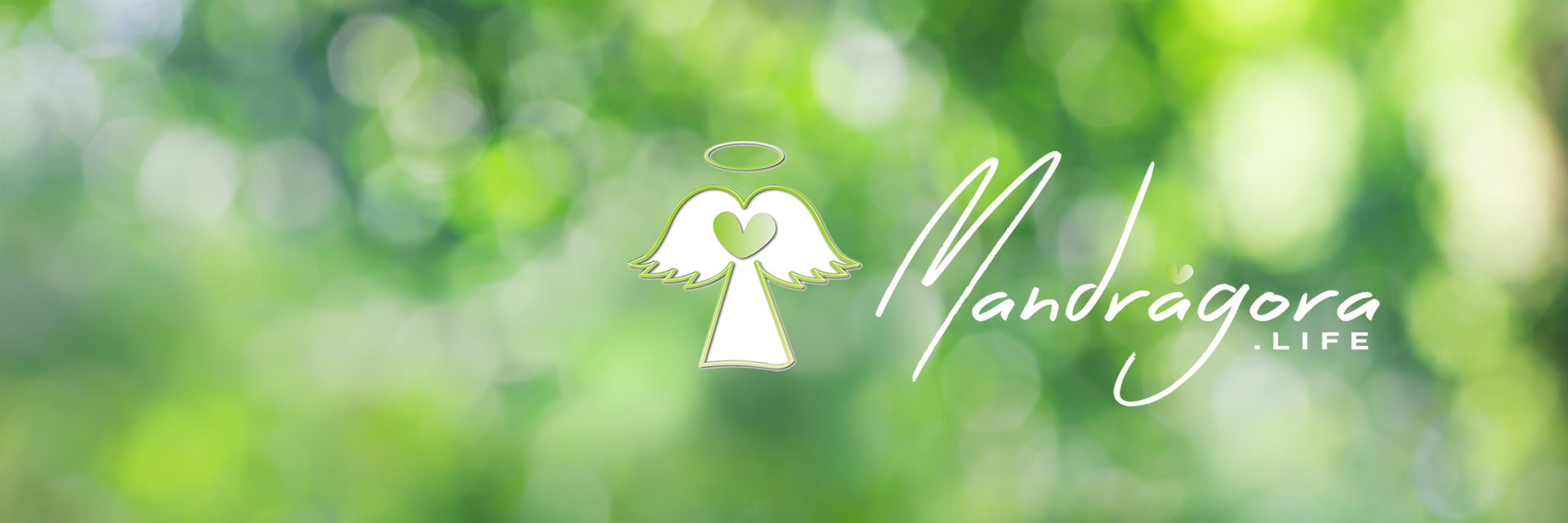 MandragoraLife's profile banner image