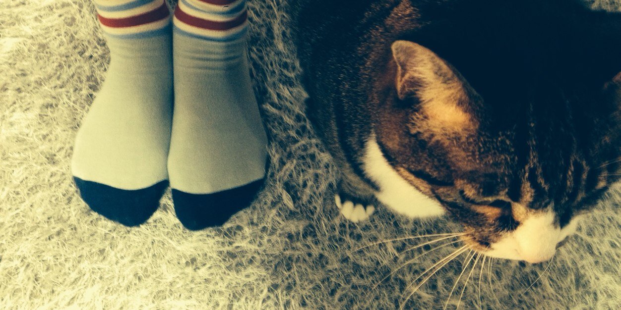 tomiscat's profile banner image