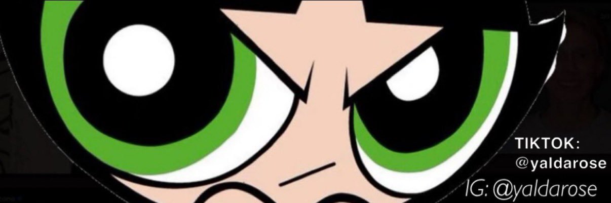 yaldaroses's profile banner image