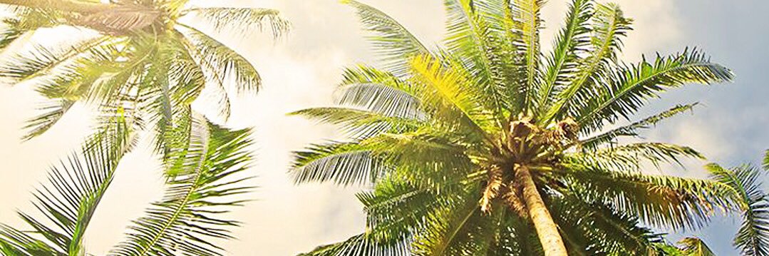 _CesarOliva's profile banner image