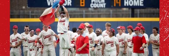 McKinneyBoydBaseball banner
