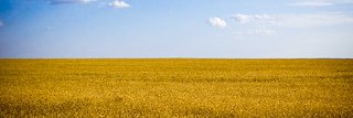 Philip_Early_'s profile banner image