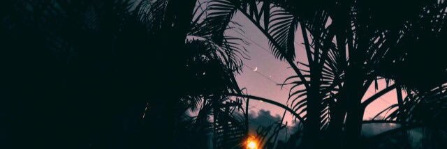 brittneeeerd's profile banner image