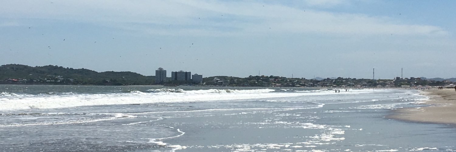 María D. Cedeño banner