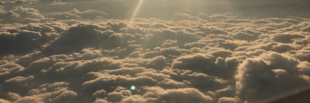 rose_martinez22's profile banner image