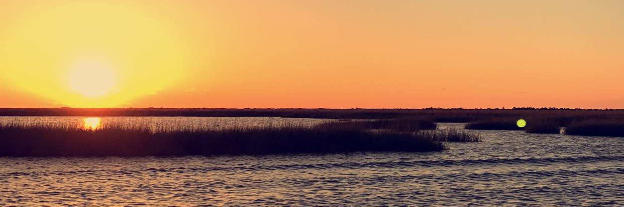 Sam_Cottano's profile banner image