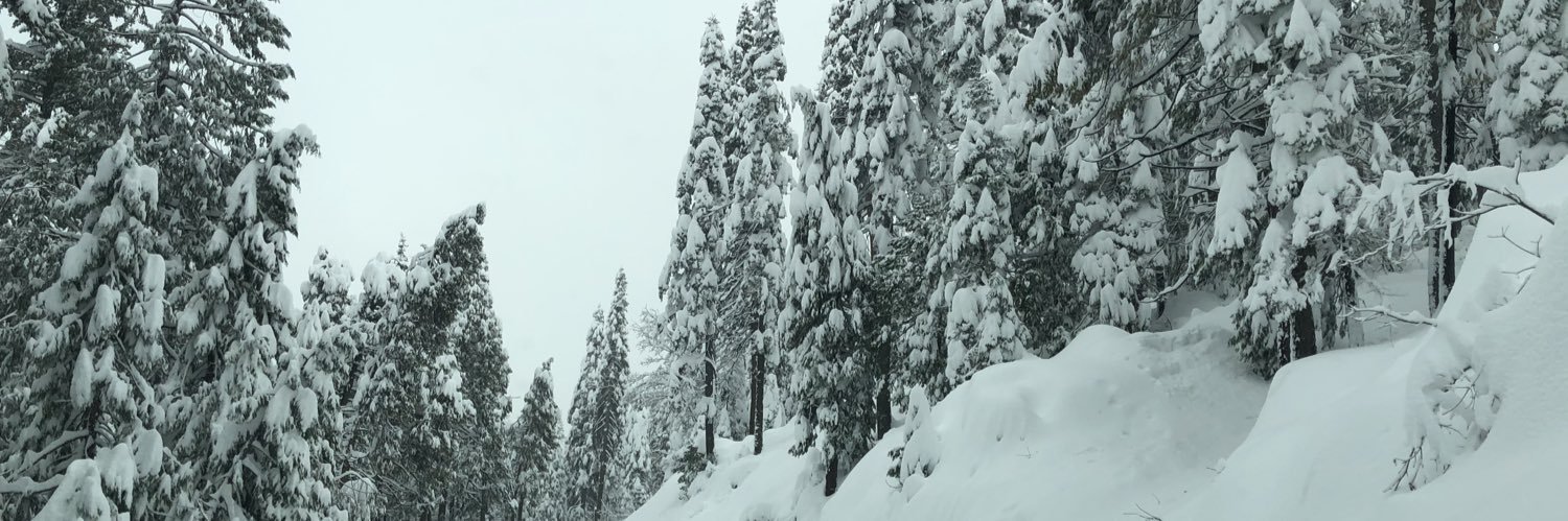 Katie "Red Pickle" Jerkovich banner