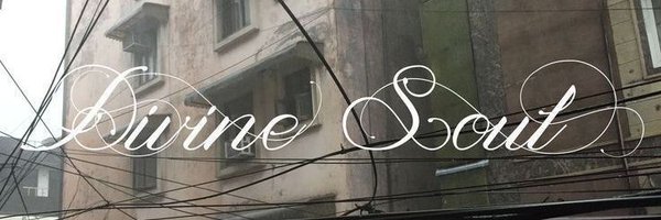 vittheactivist Profile Banner