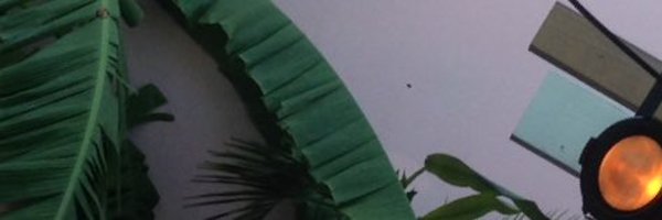 seanashg Profile Banner