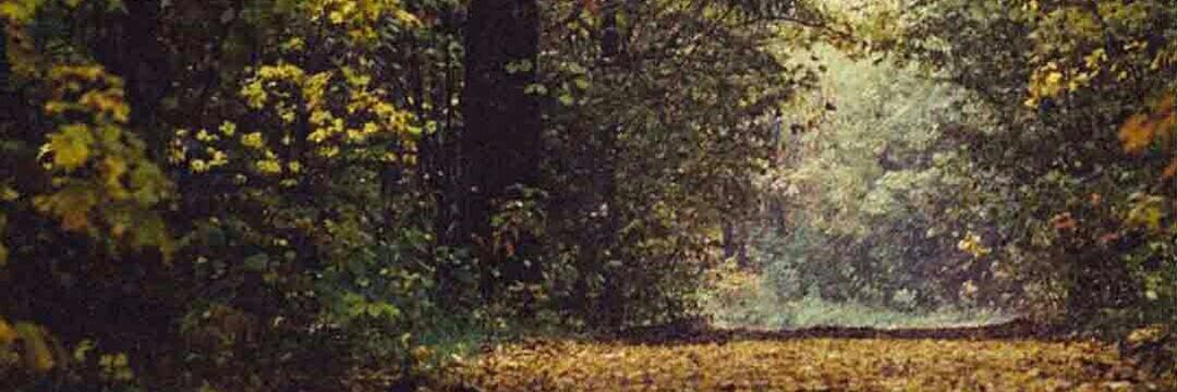 AlukoTimilehin2's profile banner image