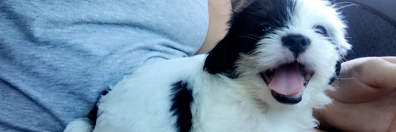 JustAngieeeee's profile banner image