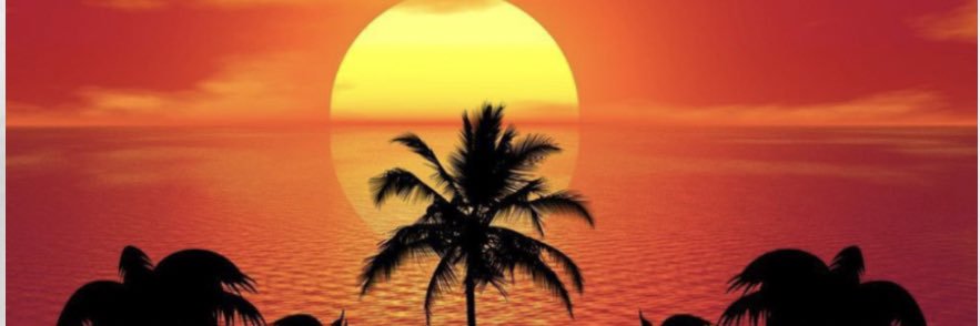 stephanie wright banner