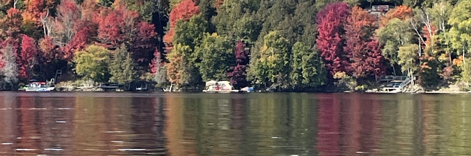 MuskokaMarc's profile banner image