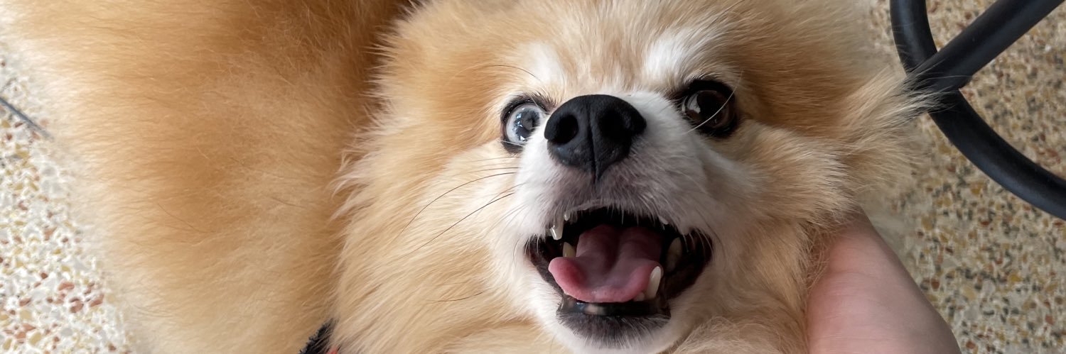 madelynnemount's profile banner image