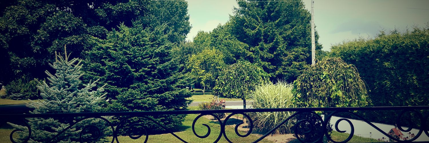 Kbogie22's profile banner image
