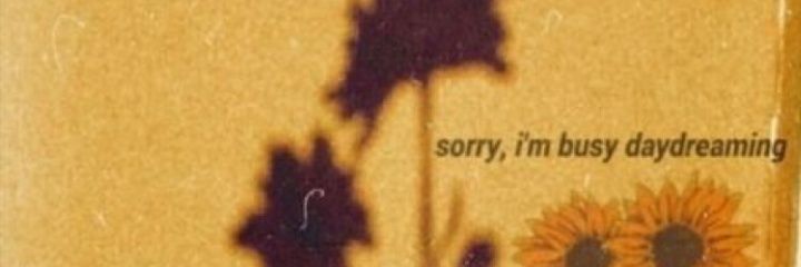 D E Y banner