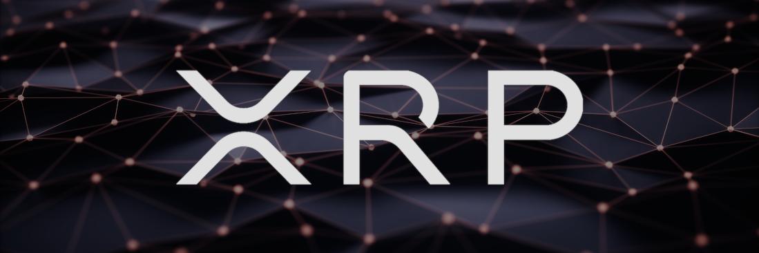 XRP $ THE FUTURE banner