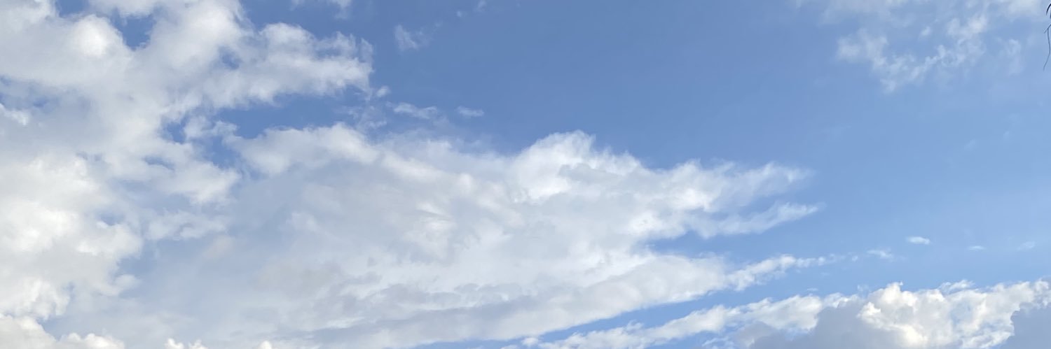 kevinktimporta's profile banner image