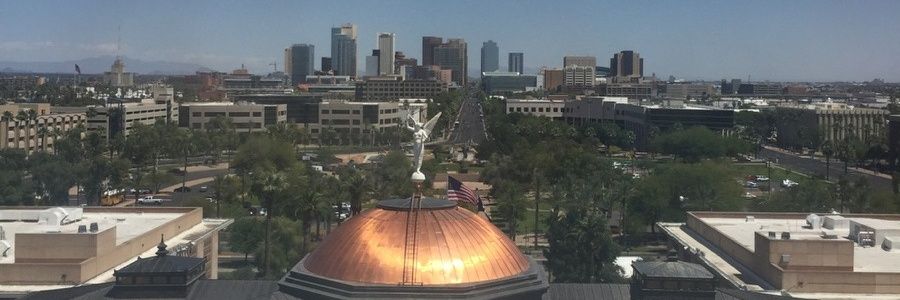 EliseKulik's profile banner image