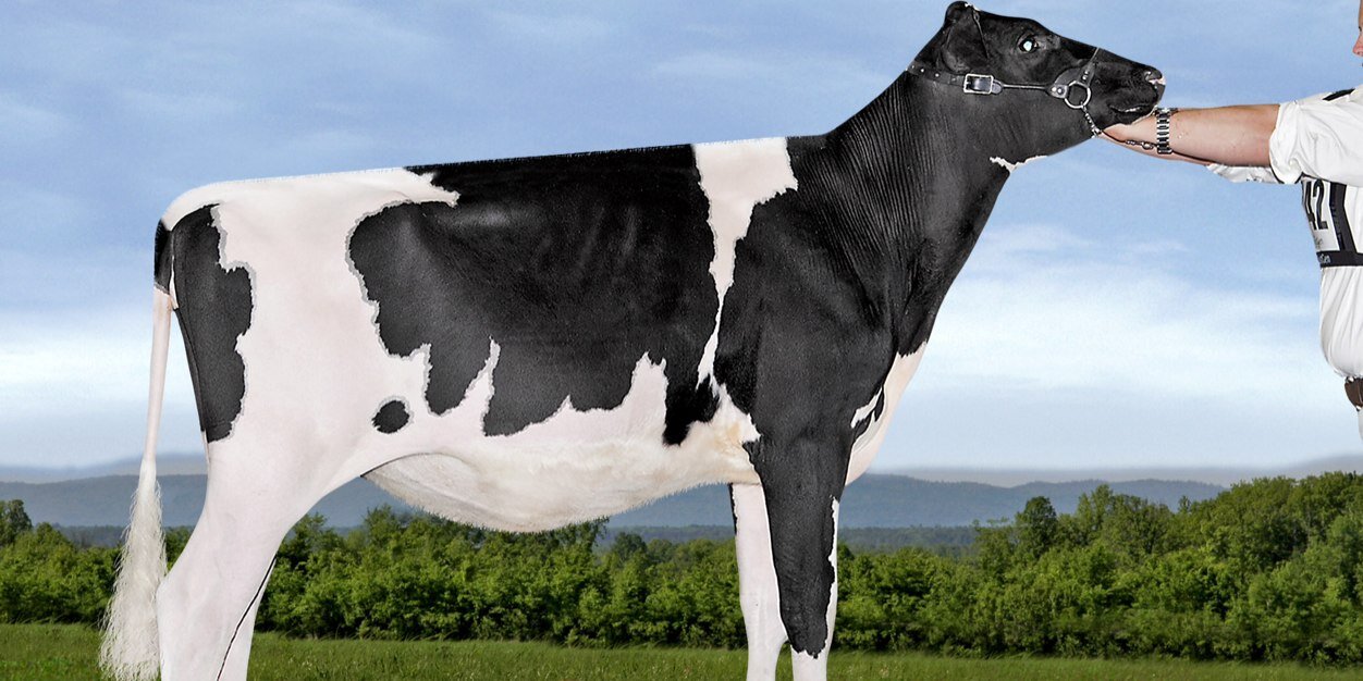 Adriijaa's profile banner image
