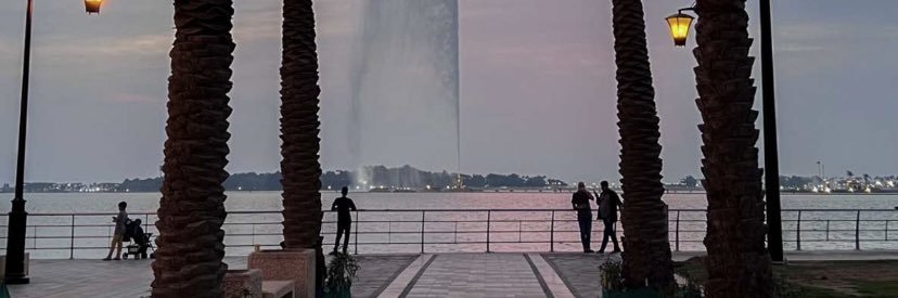 naajdya's profile banner image