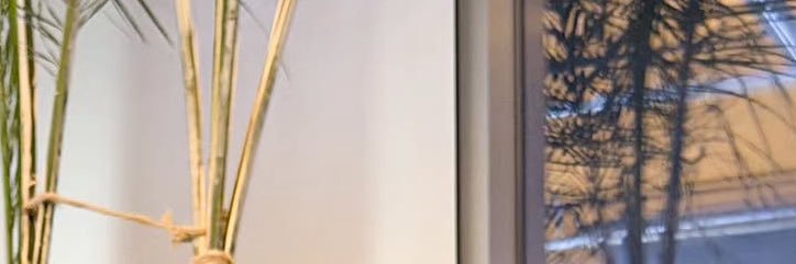 pagefsoobin's profile banner image