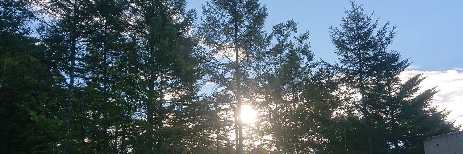 tojss's profile banner image