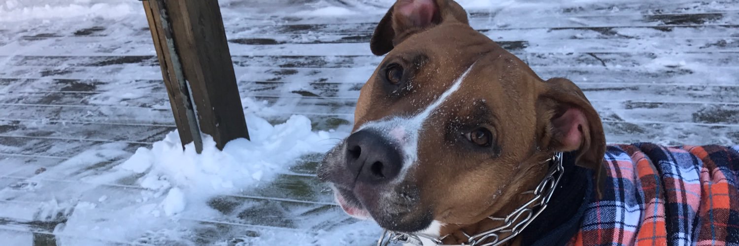 kybrow69's profile banner image