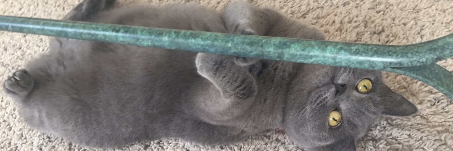 Sopheemie's profile banner image