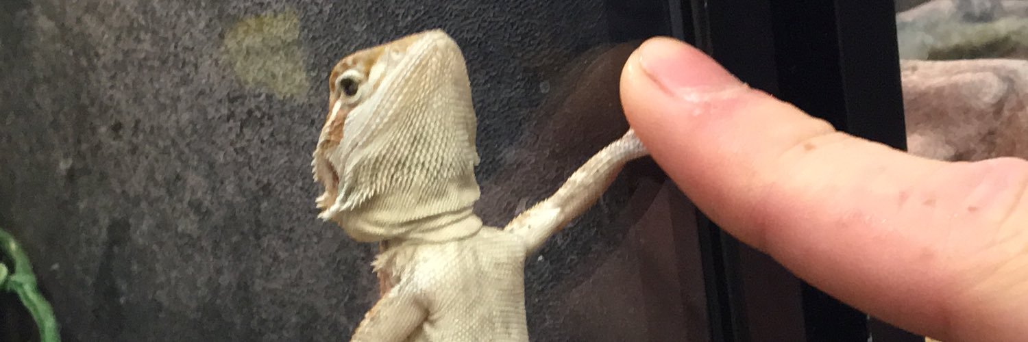 Benjamin_Pond's profile banner image