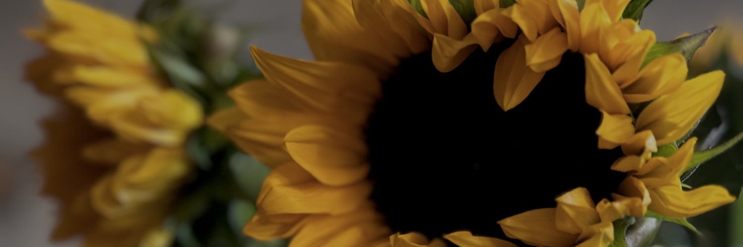 MHamline's profile banner image