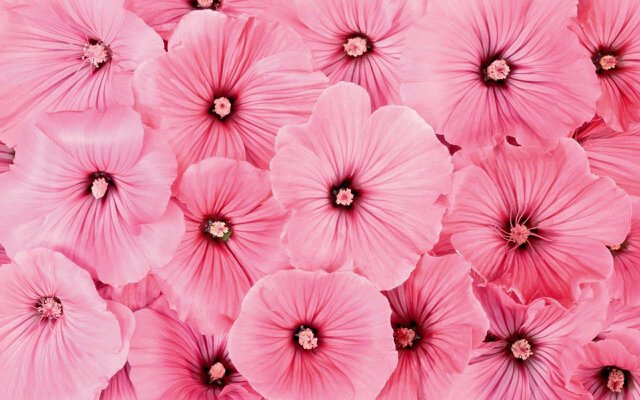 Emaaemmon's profile banner image