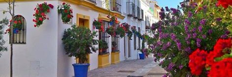 سامي الابراهيمي banner