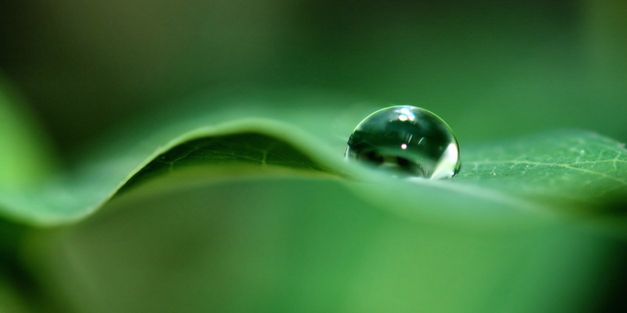 EarthCures's profile banner image