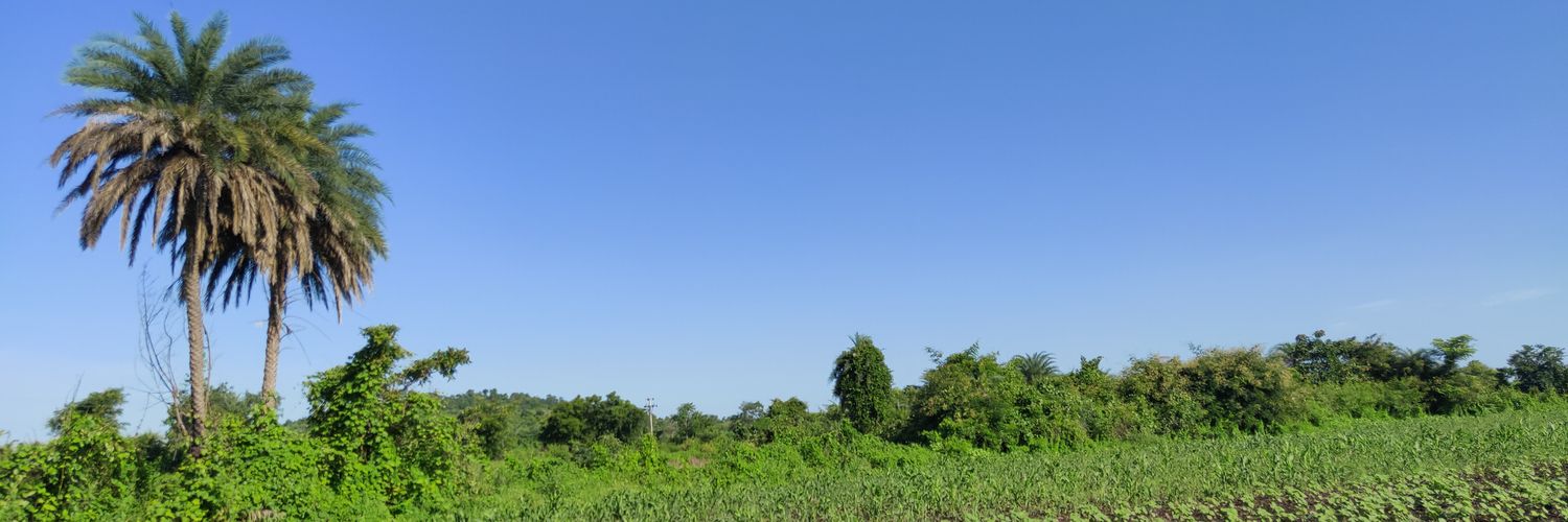 Vikasbhade's profile banner image