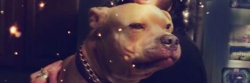 MunkeyJokes's profile banner image
