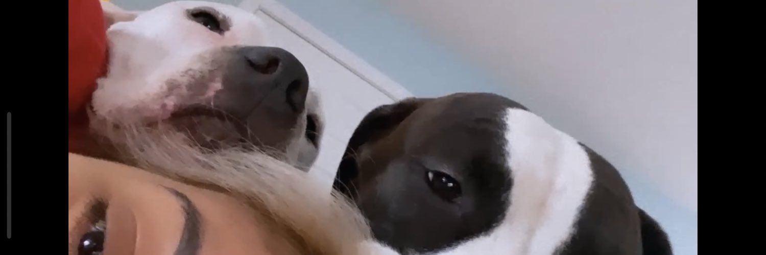natvlye's profile banner image