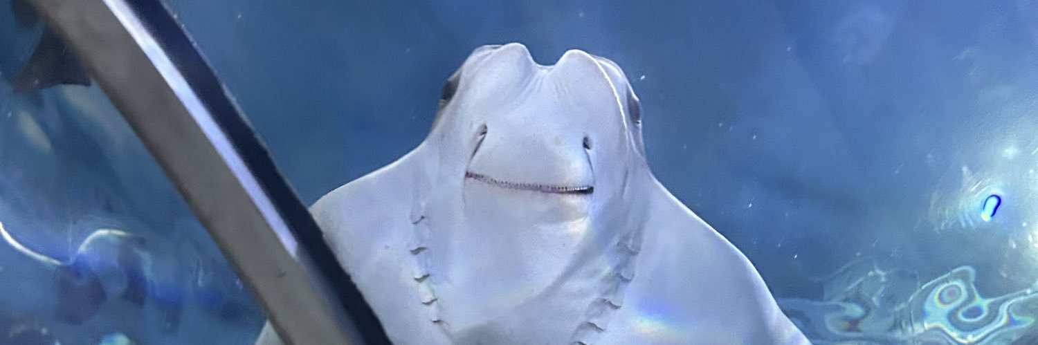 halleyyyyyb's profile banner image