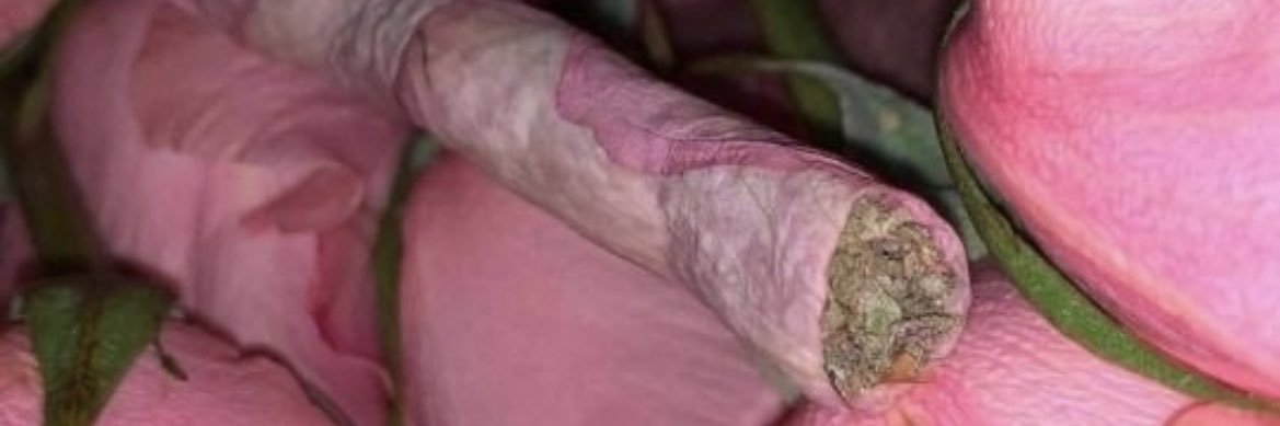 Cathieee_'s profile banner image