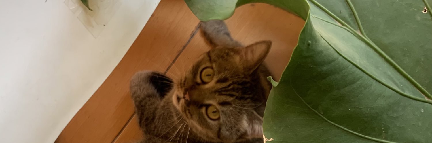 Larapunk_'s profile banner image