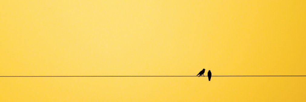 A Echo banner