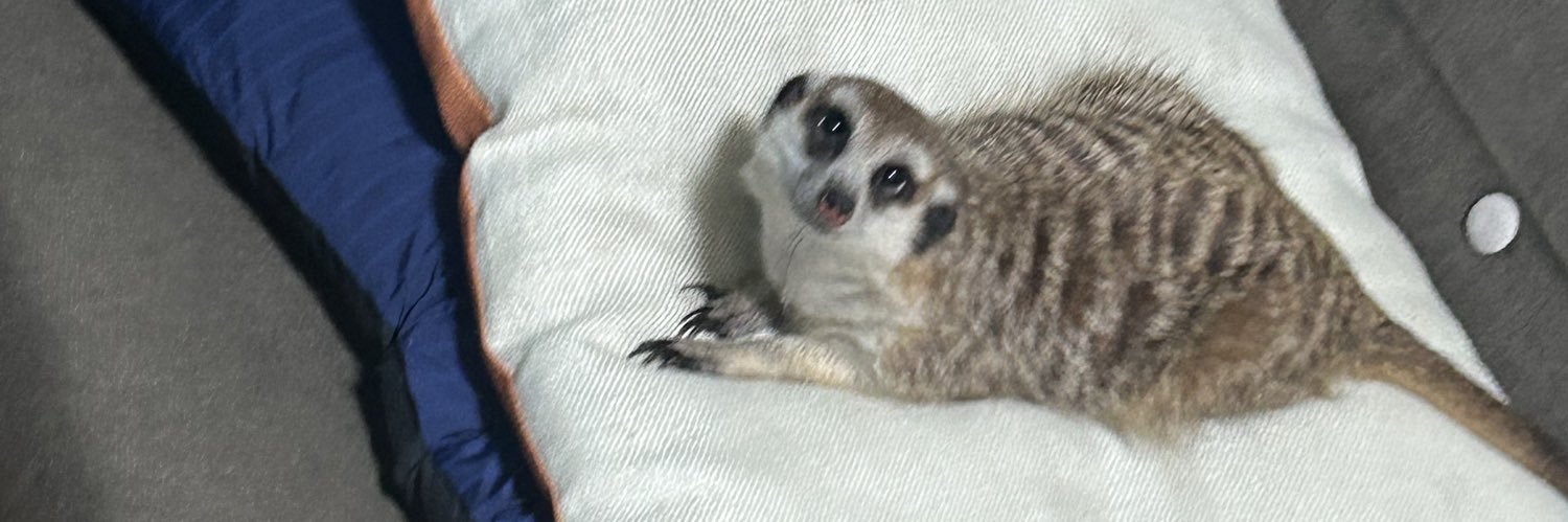 🐰🍼なな🥀 banner